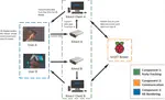 Supporting embodied and remote collaboration in shared virtual environments